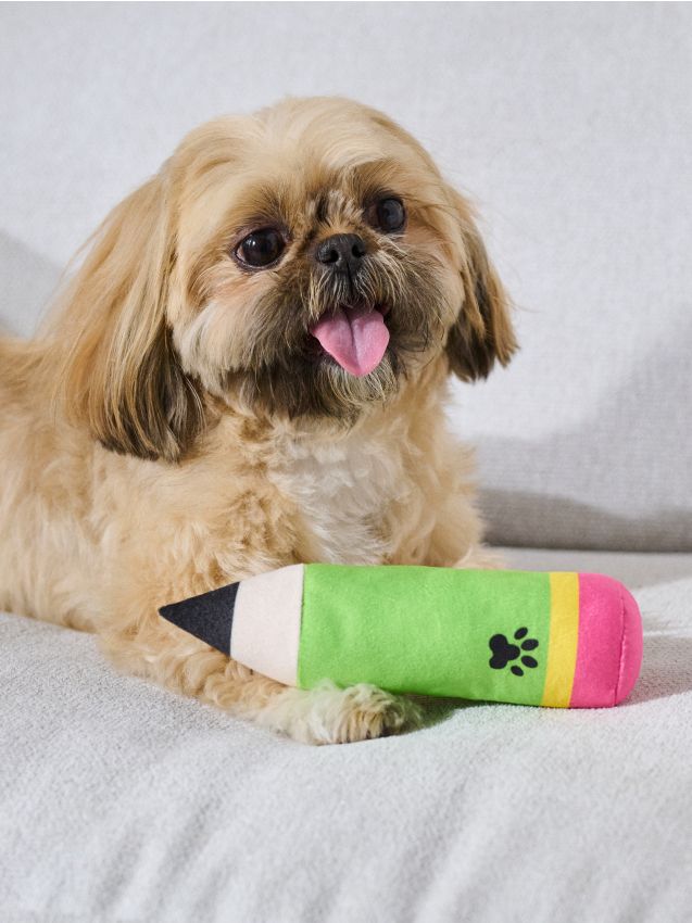 Giocattoli per cani 2 pezzi - SINSAY