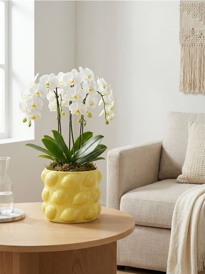 Керамічний горщик з тисненим візерунком