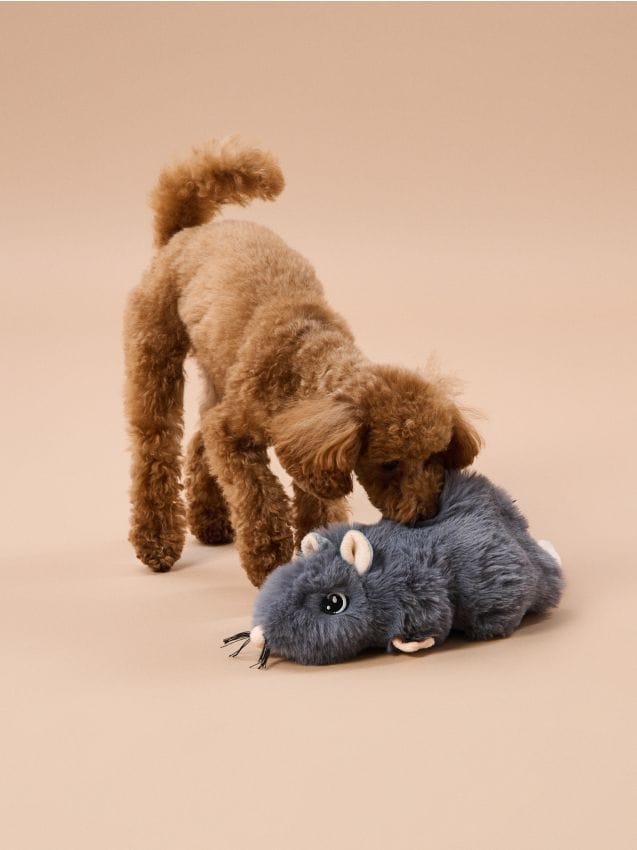 Sinsay - Jucărie de pluș pentru câini cu folie foșnitoare și buzunar pentru recompense - gri deschis