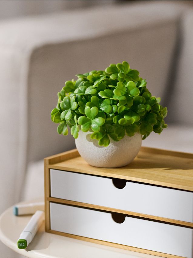 Sinsay - Plantă decorativă în ghiveci - verde