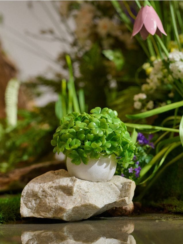 Sinsay - Plantă decorativă în ghiveci - verde