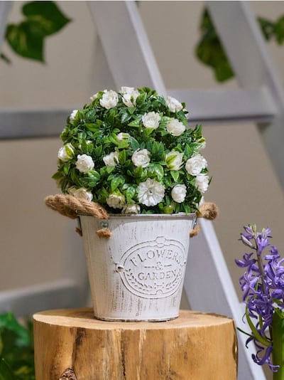 Dekoratiivne taim palli kujul lilledega