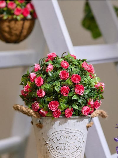 Декоративна рослина у формі кулі з квітами