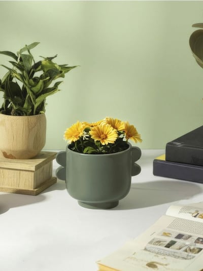 Blumentopf mit Griffen