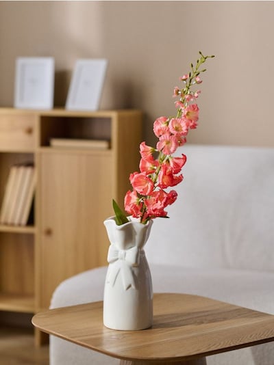 Dekorativní rostlina ve formě větvičky – mečík