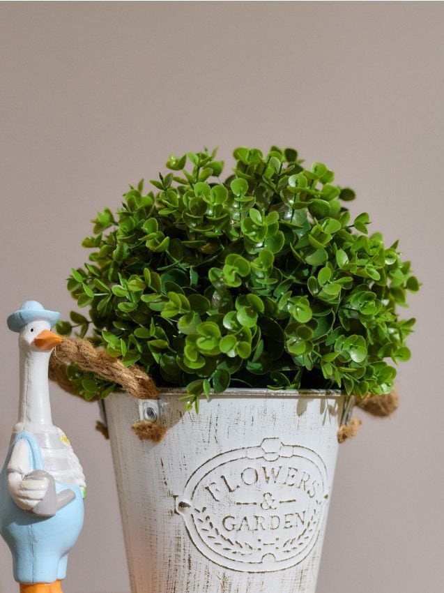 Sinsay - Plantă decorativă în formă de bilă - verde