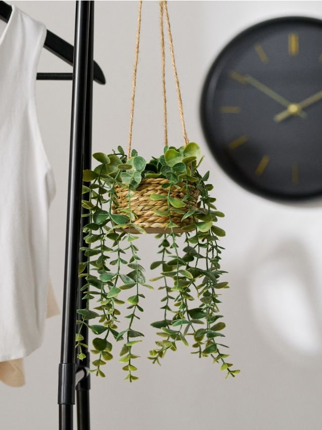 Sinsay - Plantă decorativă în coș suspendat - verde