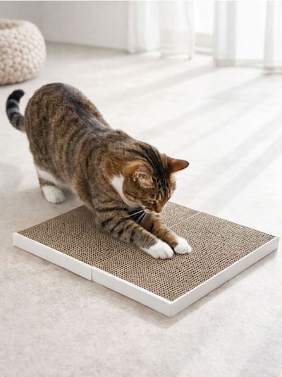 Kartonski grebalica za mačke u obliku knjige