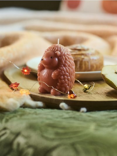 Свещ hedgehog