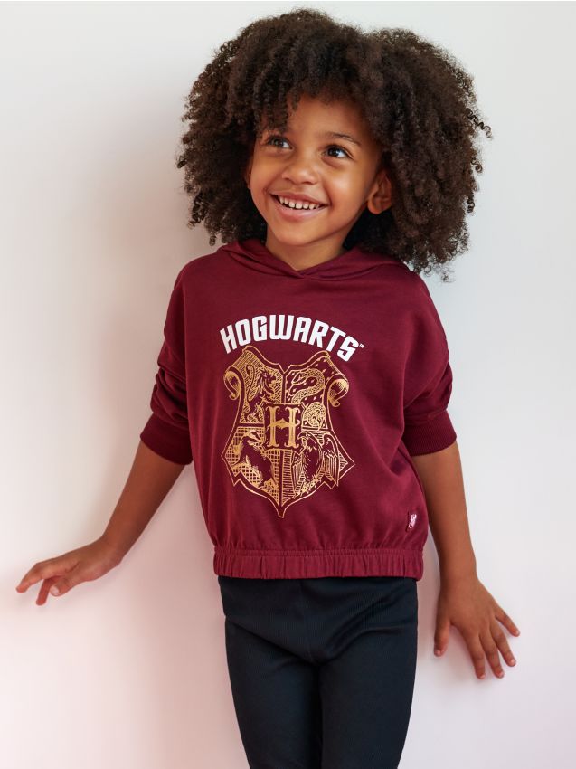 Harry Potter sweatshirt Color burgundy - SINSAY - 8521M-53X