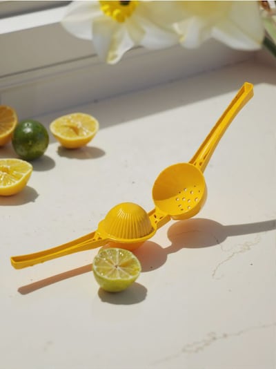 Lis na citrusy