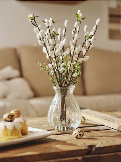 Dekoratiivne taim - pajuurbikud