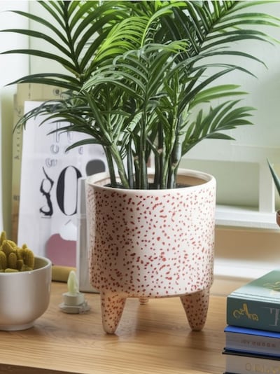 Jalal lillepott täpilise mustriga