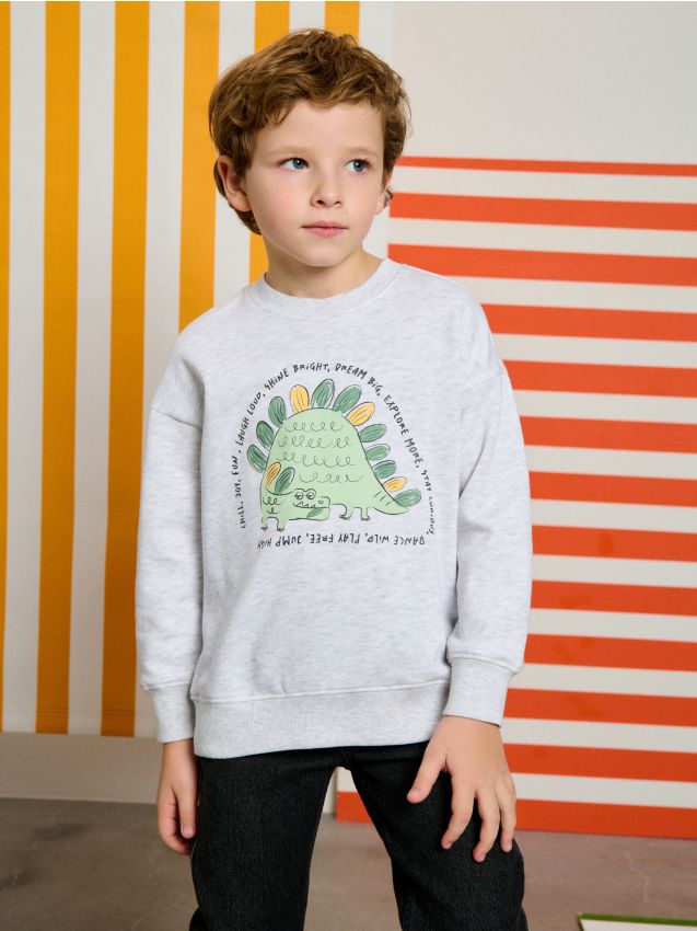 Sinsay - Bluză crewneck cu imprimeu - gri deschis