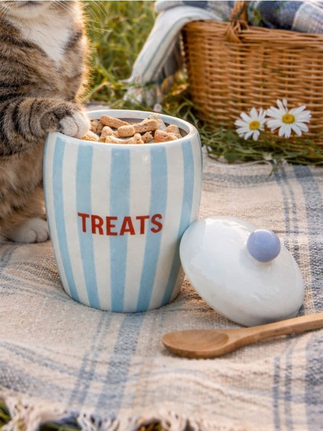 Contenitore in ceramica per snack per animali con coperchio - azzurro