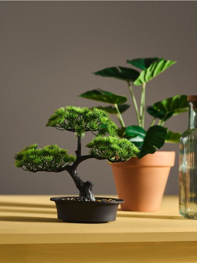 Sinsay - Pom bonsai în ghiveci - verde
