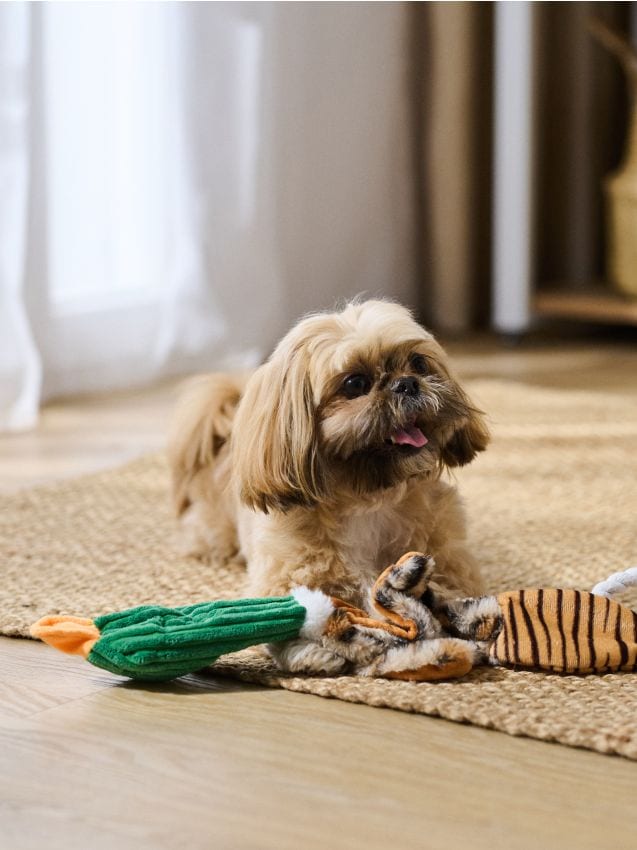 Weiches Hundespielzeug mit Zerrspielzeug - SINSAY