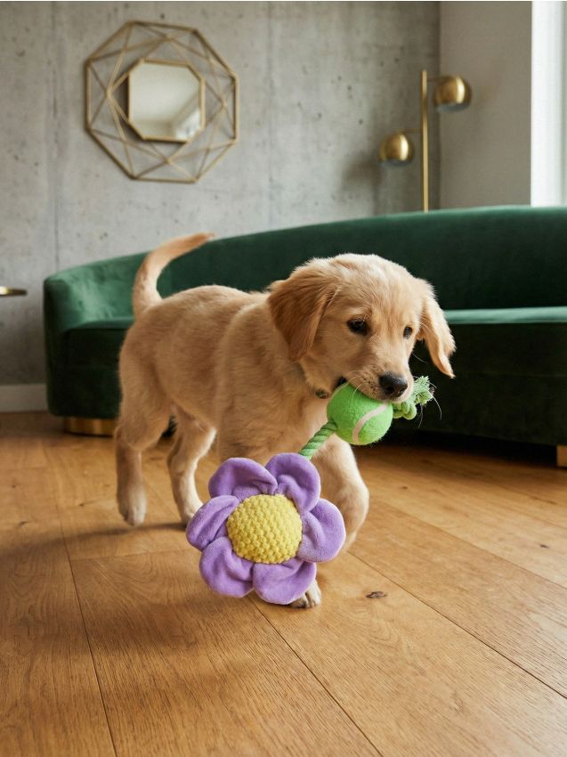 Sinsay - Jucărie pentru câini cu sunet - multicolor