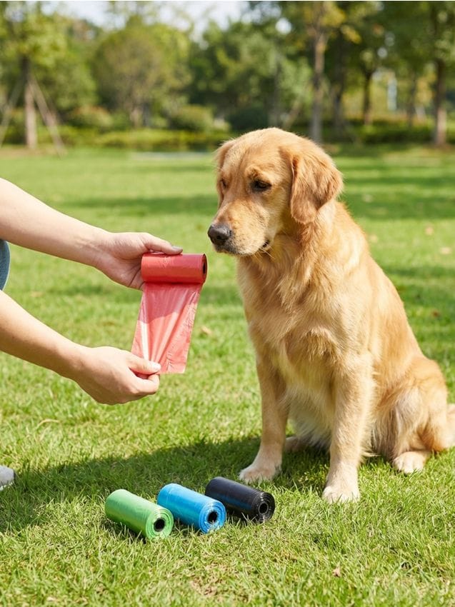 Sinsay - Pungi pentru excremente 450 buc - multicolor