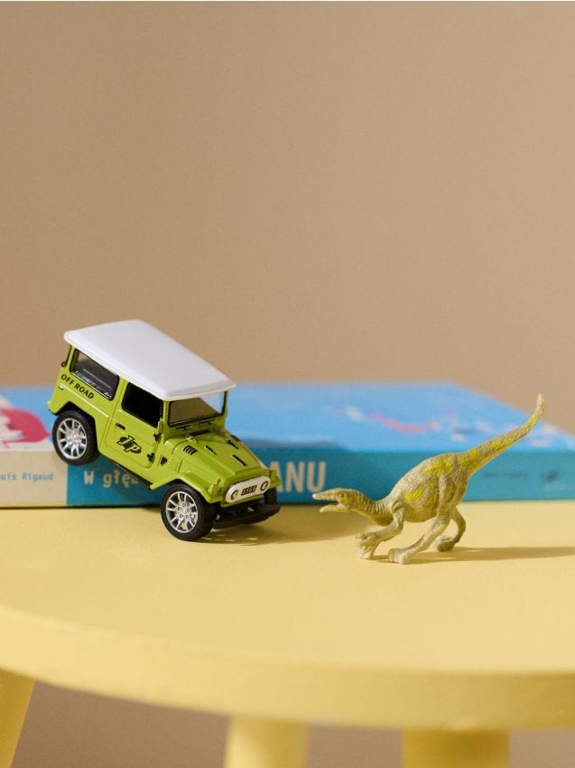 Sinsay - Vehicul - verde