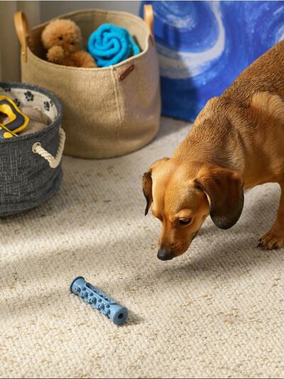 Igračka za kućnog ljubimca