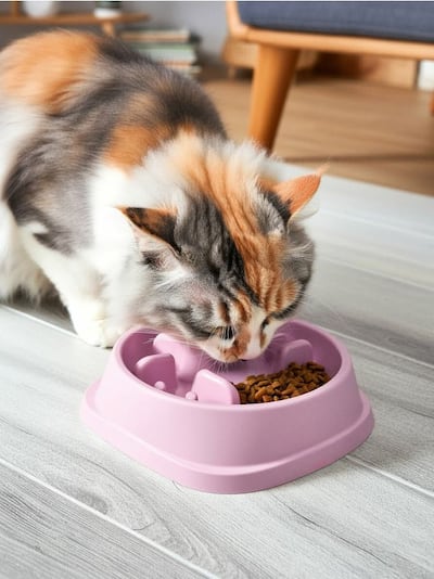 Činija koja usporava hranjenje za pse i mačke