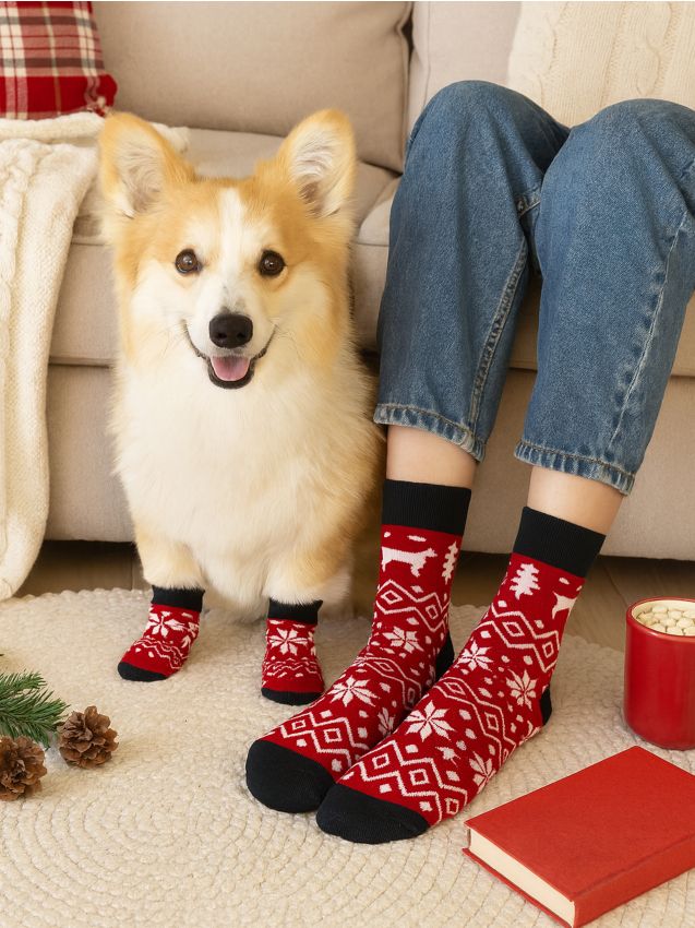 Sinsay - Set: Ponožky pre psa a majiteľa - červená
