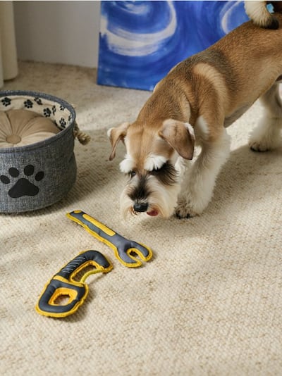 Kutyás játékok 2 darabos szett