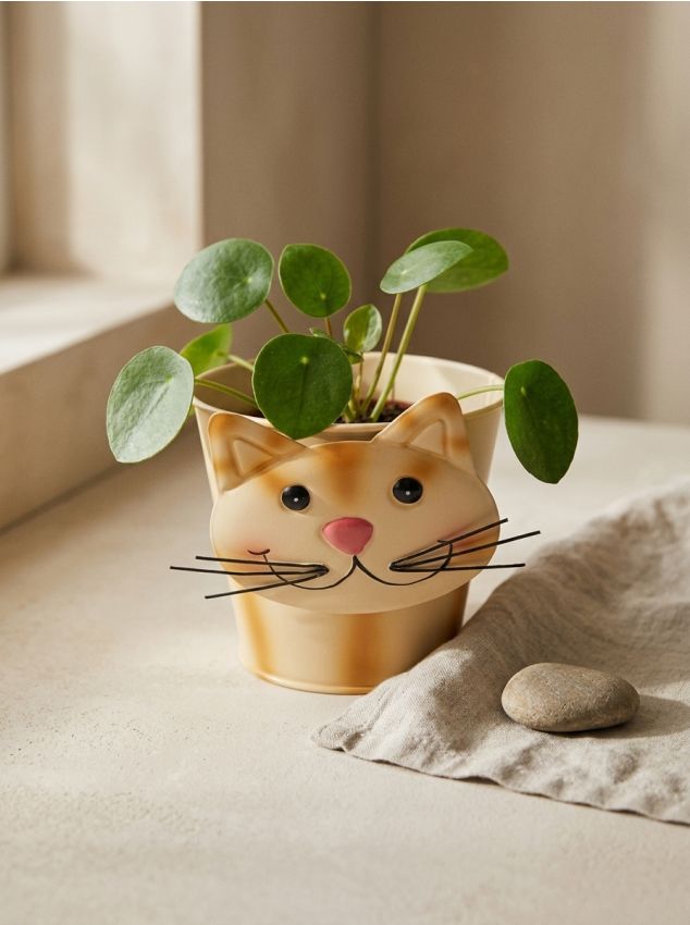 Sinsay - Ghiveci - crem