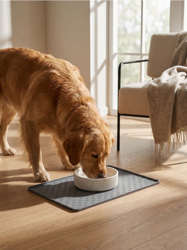 Sinsay - Bol ceramic ondulat pentru animale - alb