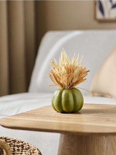 Декоративна штучна рослина