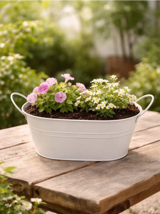 Sinsay - Ghiveci oval cu mânere - crem