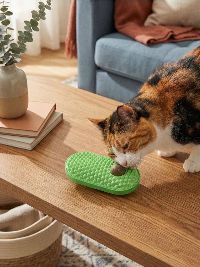 Sinsay - Perie pentru pisici pentru frecare, în formă de avocado, cu iarba-mâței - verde-deschis