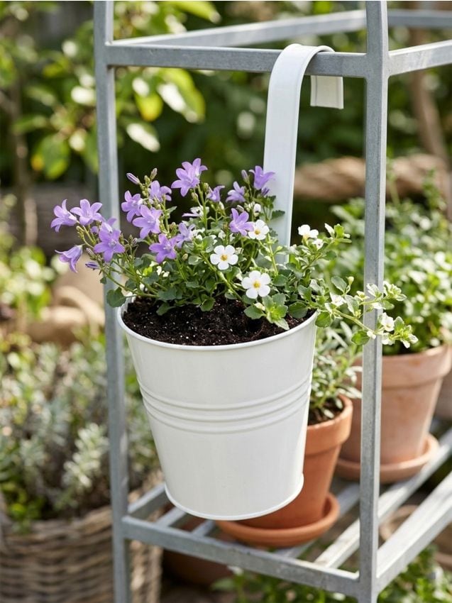 Sinsay - Ghiveci suspendat - crem