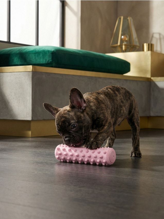 Sinsay - Jucărie pentru câine - roz-pastel