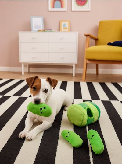 Komplet 4 igrač za psa