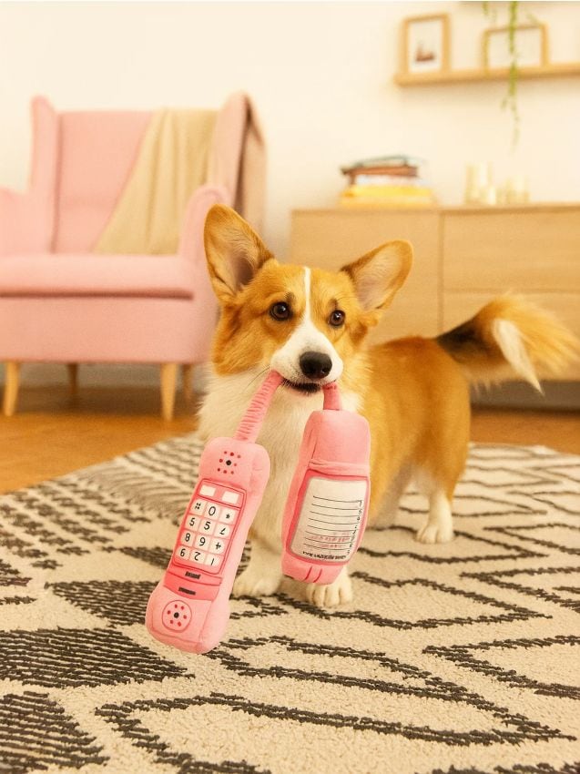 Sinsay - Hračky pre psov - pastelová ružová