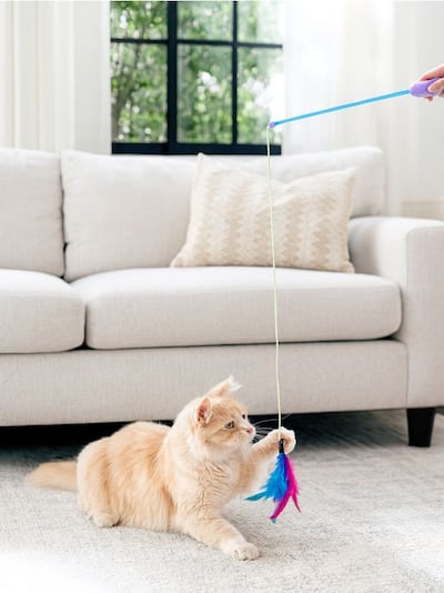 Котяча вудочка