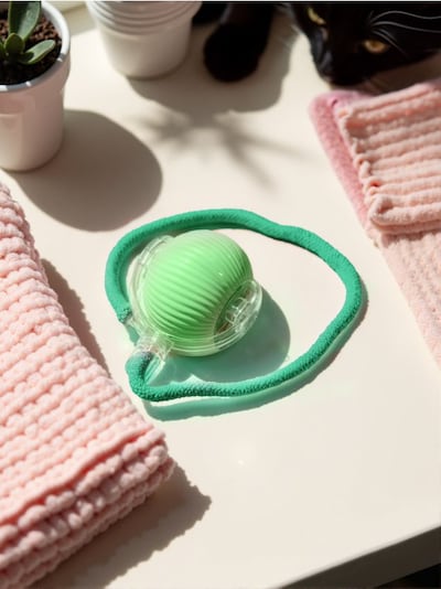 Interaktiivne mänguasi loomadele