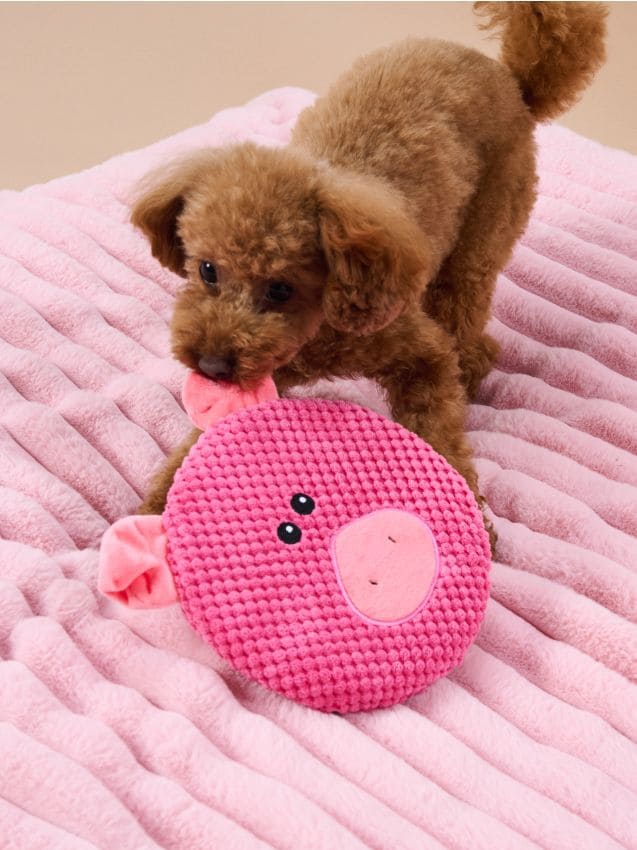 Sinsay - Jucărie pentru câini cu sunet, în formă de purceluș - roz-pastel