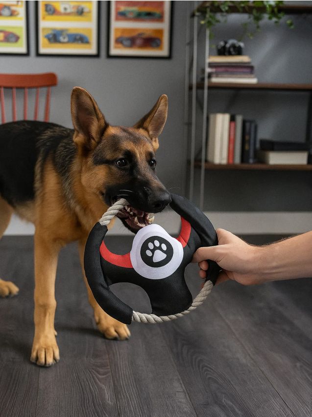 Sinsay - Jucărie pentru câini cu motiv de volan - negru