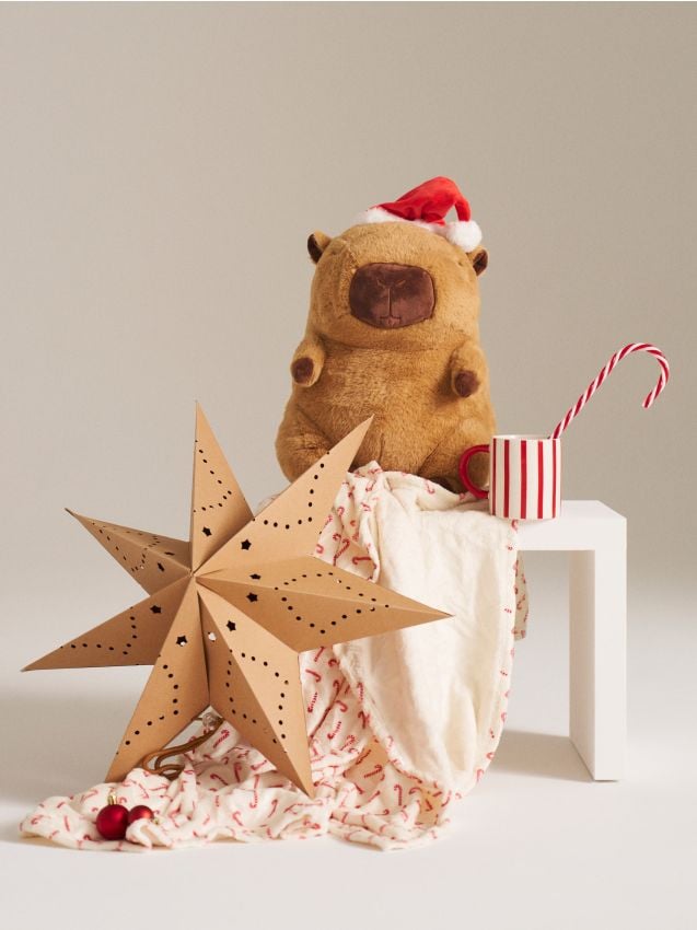 Sinsay - Plyšová kapybara s dekou - viacfarebná