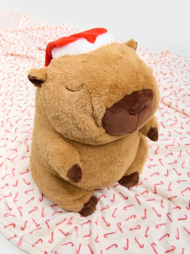 Sinsay - Plyšová kapybara s dekou - viacfarebná