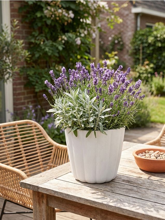 Sinsay - Ghiveci de grădină cu striații - alb