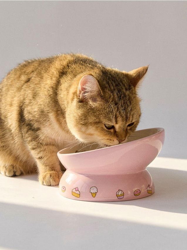 Sinsay - Bol ceramic pe picior pentru animale Pusheen the Cat - roz-pastel