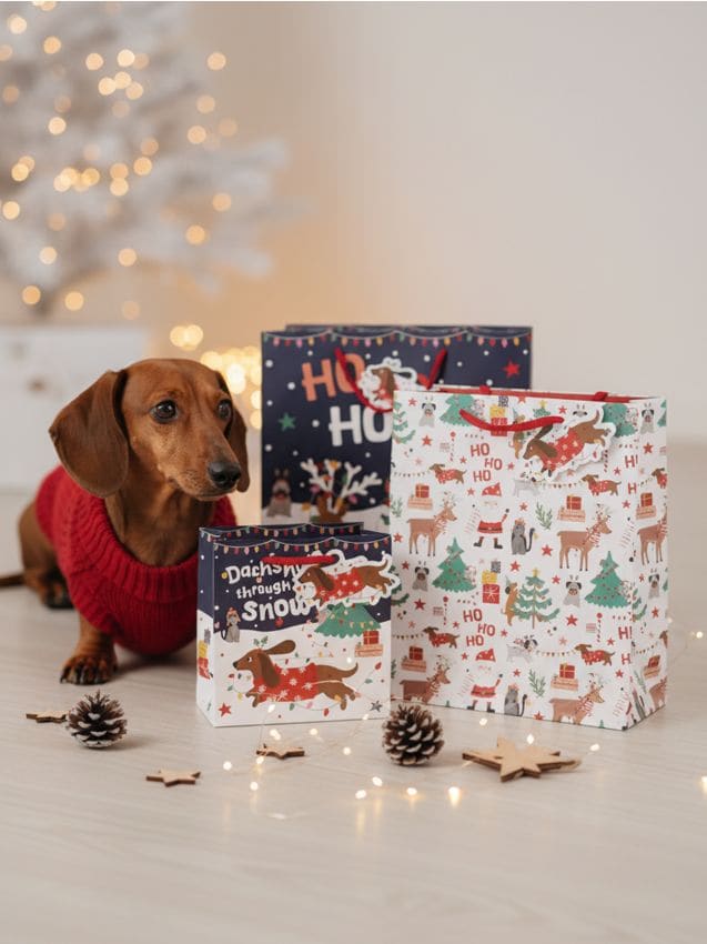 Sinsay - Sada vianočných darčekových tašiek s motívom jazvečíka 9 pack - viacfarebná