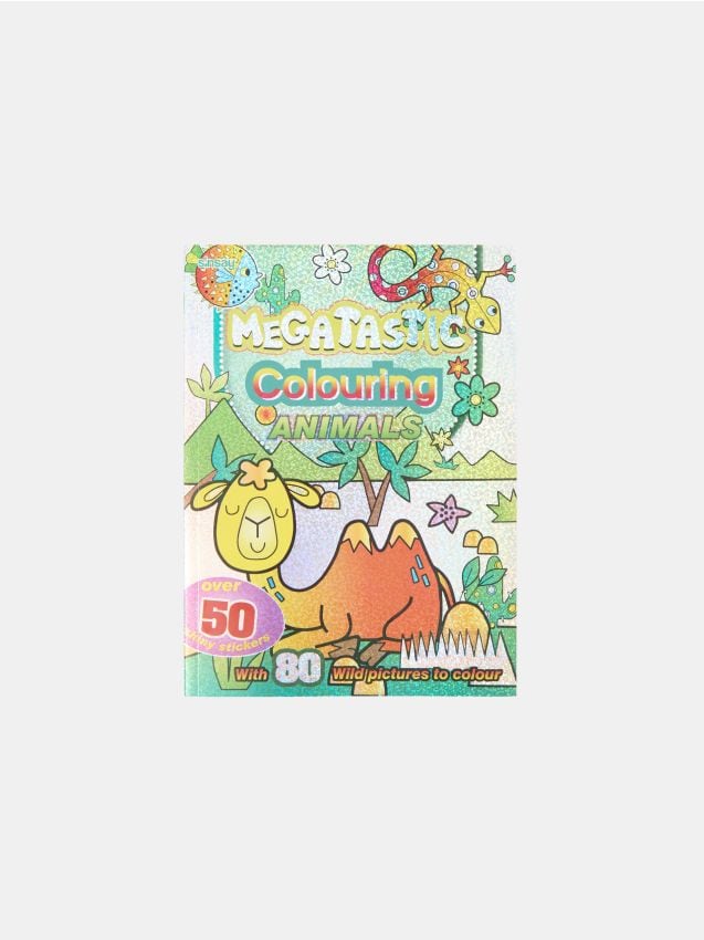 Sinsay - Omaľovanka s nálepkami - viacfarebná