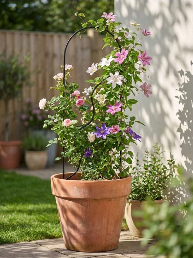 Sinsay - Suport metalic pentru flori - negru