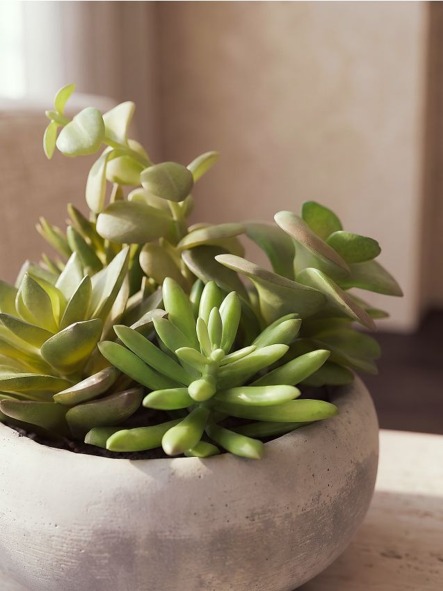 Sinsay - Plantă artificială decorativă - verde