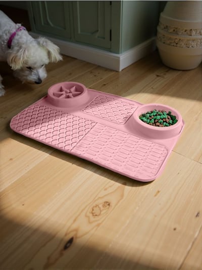 Μπολ που καθυστερεί το φαγητό για σκύλους